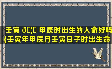 壬寅 🦈 甲辰时出生的人命好吗(壬寅年甲辰月壬寅日子时出生命钱)
